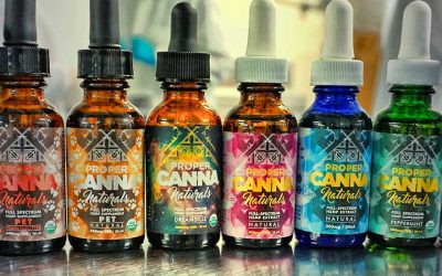 Finding the Perfect CBD Product For You