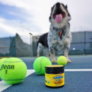 hemp cbd pain relief salve tennis