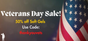 Veterans Day Sale banner (1080 × 500 px)