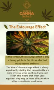 The Entourage Effect1
