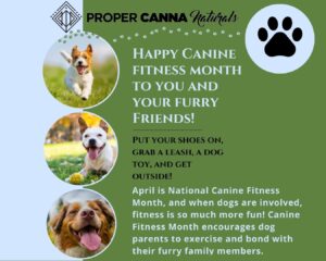 2023-04-11 April is Canine Fitness Month1
