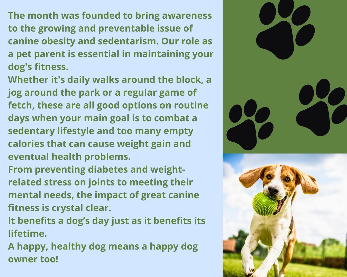 2023-04-11 April is Canine Fitness Month2