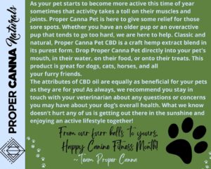 2023-04-11 April is Canine Fitness Month3