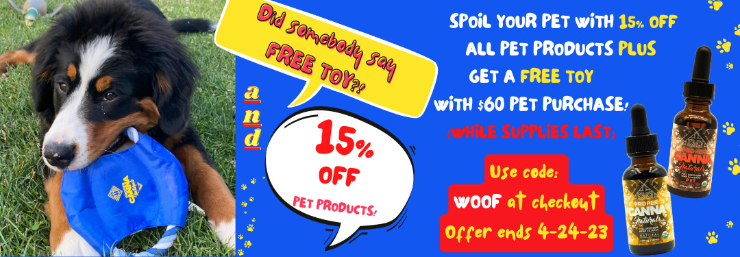 15%off plus dog toy promo banner mobile (1)