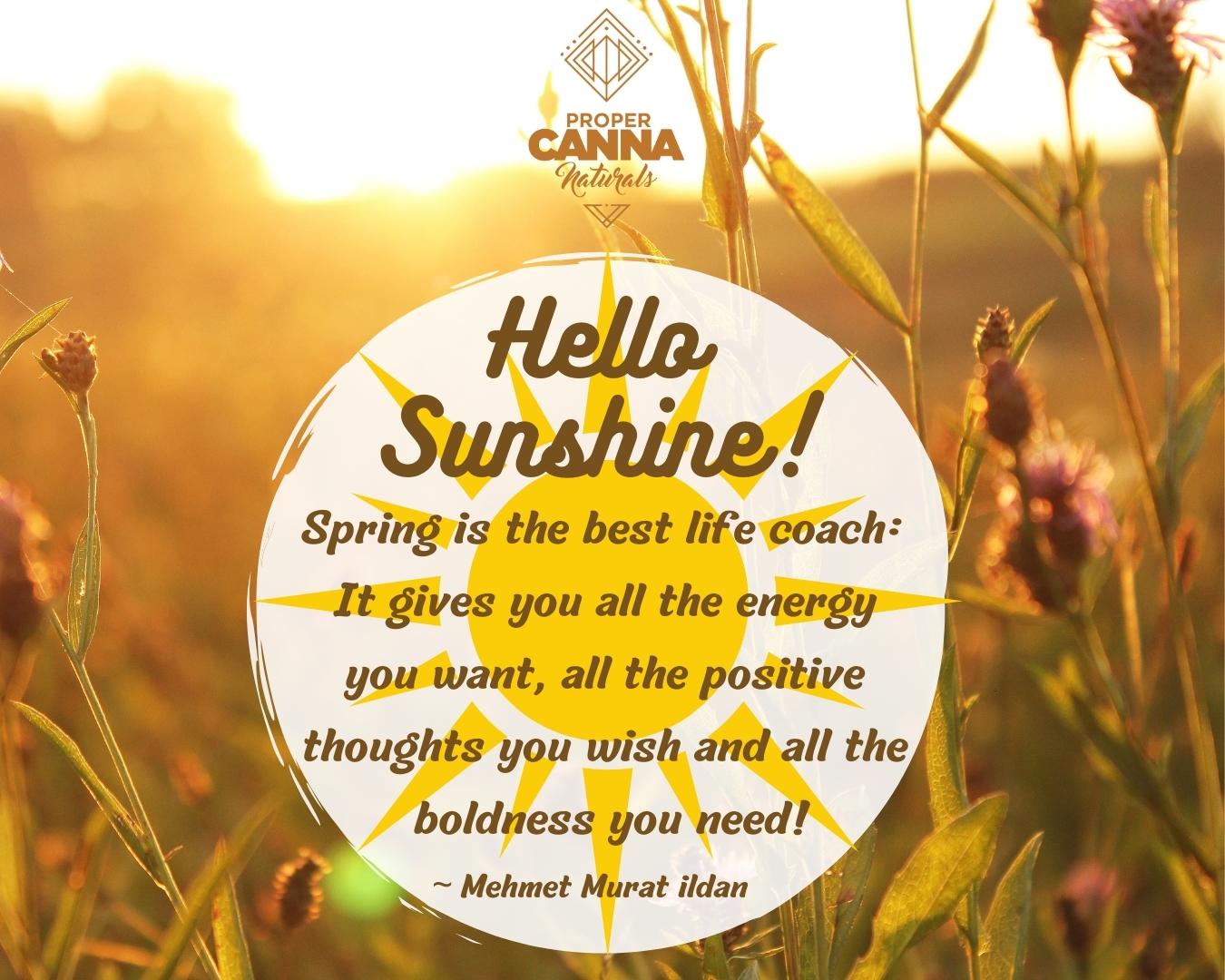 hello-sunshine-1
