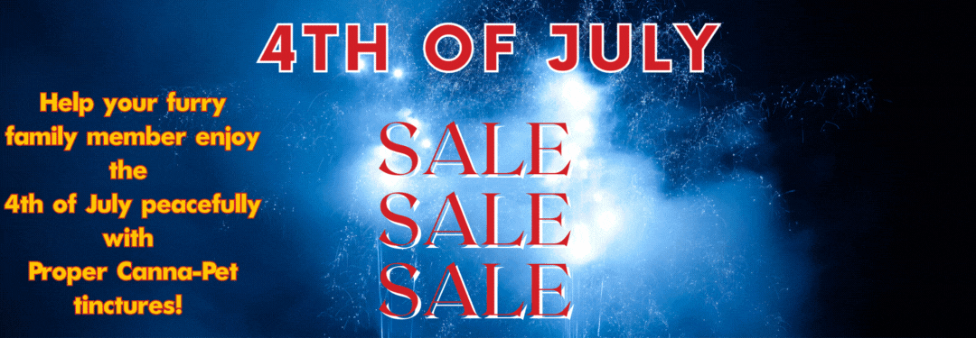 July 4th pup promo web banner mobile