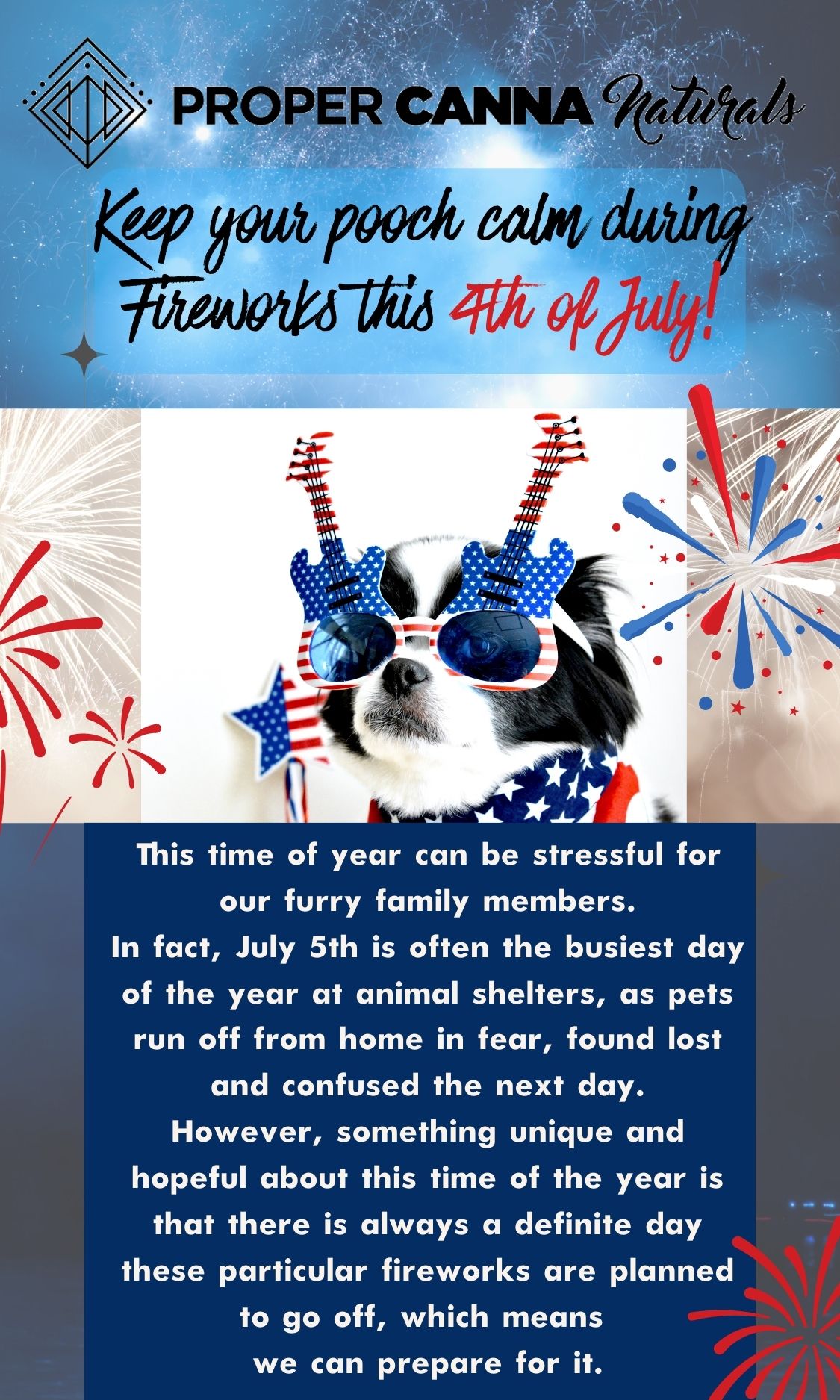 fireworks-pup-anxiety-1