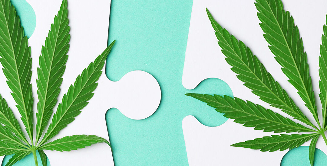 An Extensive Guide to Key Cannabinoids in Cannabis