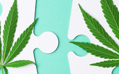 An Extensive Guide to Key Cannabinoids in Cannabis