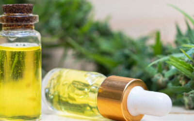 Unveiling the Fascinating Journey of CBD Oil