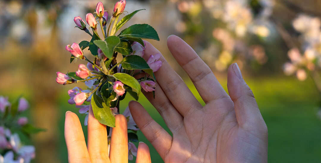 Spring Awakens: Nature’s Rejuvenation and Our Wellbeing