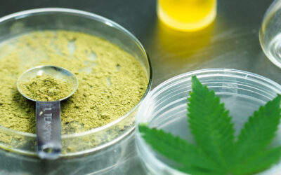 Homegrown Happiness: Does Your Body Make Its Own CBD?