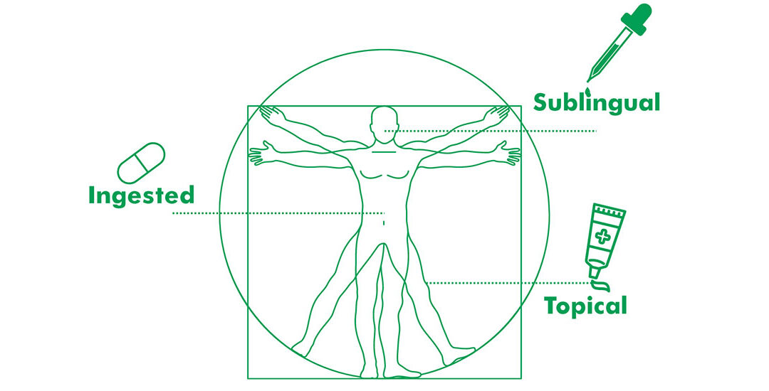 Bioavailability: The Key to CBD Effectiveness